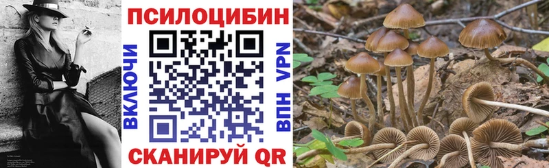 Псилоцибиновые грибы мицелий  площадка клад  Кашин  дарнет шоп 