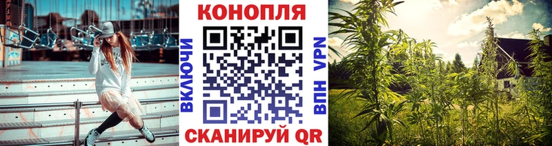 Бошки Шишки план  закладка  Кашин 
